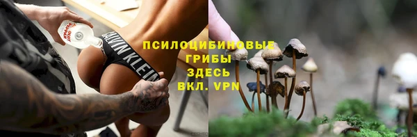 трава Аркадак