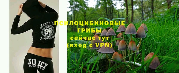 ECSTASY Армянск