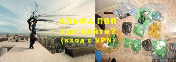трава Аркадак