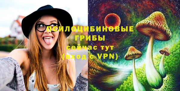 трава Аркадак
