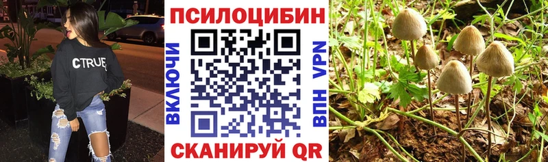 наркошоп  Богучар  маркетплейс какой сайт  Галлюциногенные грибы ЛСД 